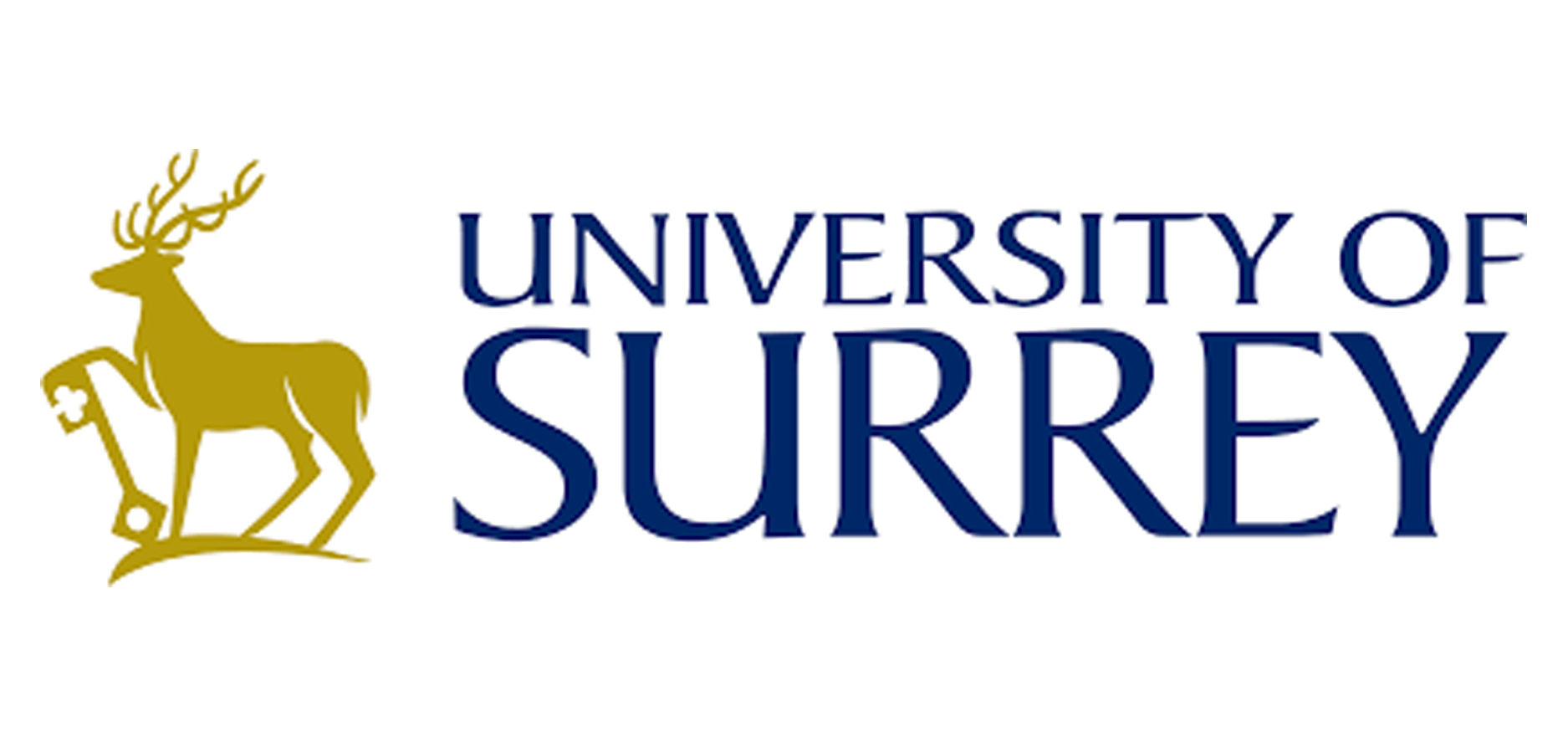 University of Surrey