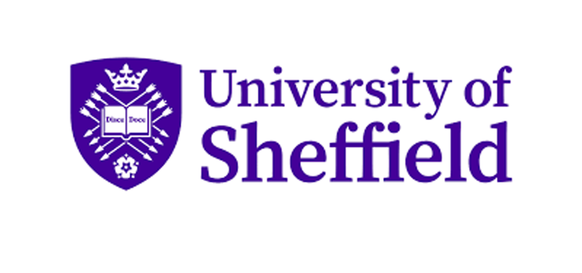 University of Sheffield